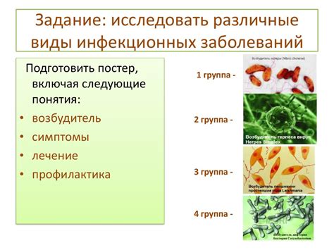 Различные виды заболеваний