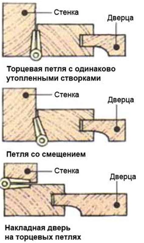 Различные виды проекции петли: для каких целей они применяются