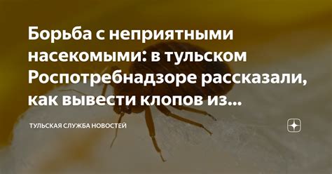 Различные интерпретации сна, где женщина сталкивается с неприятными насекомыми