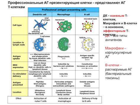 Различные способы захвата животика