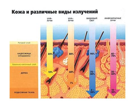 Различные степени воздействия солнца на кожу и их проявления