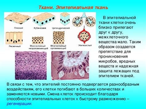 Различные типы пилинга ткани и их особенности