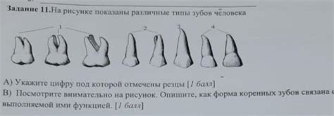 Различные типы резервных цац