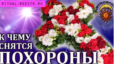 Различные толкования сновидений о свиноматке и малышах в психологической интерпретации