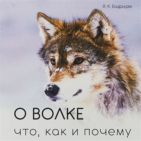 Различные толкования снов о волке: популярные интерпретации и верования