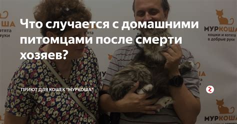 Различные толкования снов с умирающими домашними питомцами