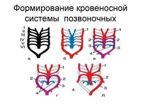 Различные формы приязни