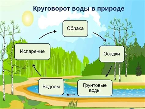 Разложители и их значимость для круговорота веществ в природе