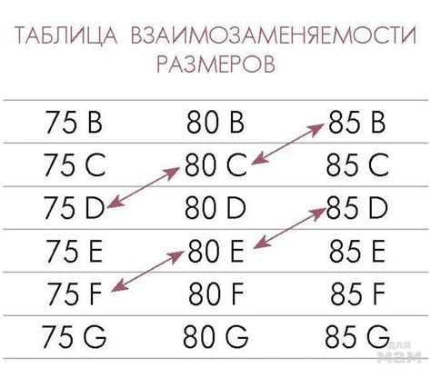 Размеры бюстгальтеров: таблица размеров и их значения