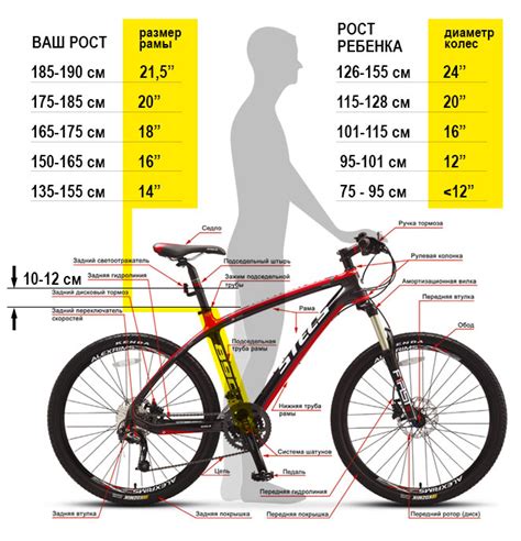 Размеры велосипедов: как это влияет на комфорт и удобство