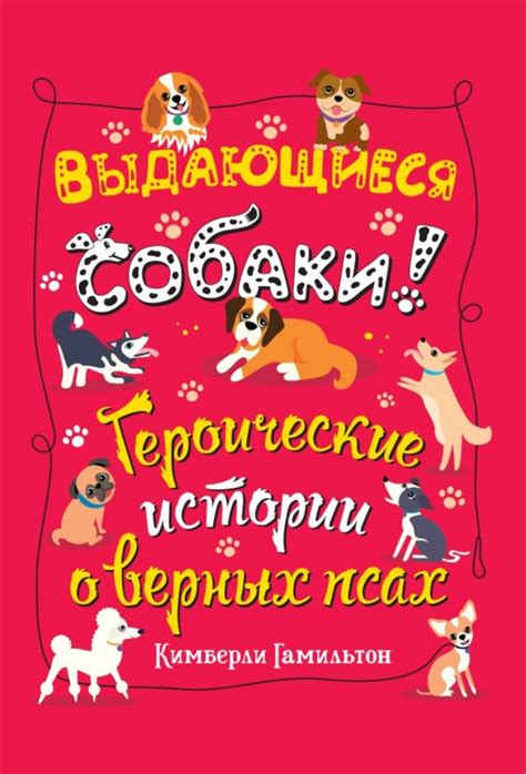 Размер собаки: почему знание верных параметров необходимо