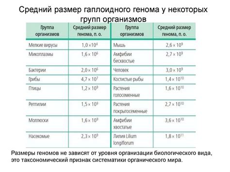 Размер среднепопуляционных групп