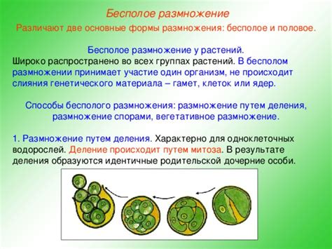 Размножение путем частичной самоплодности