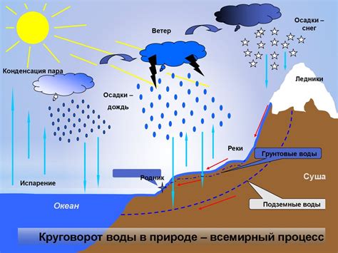 Размышление о символике чистоты воды, замеченной в специфичном сне