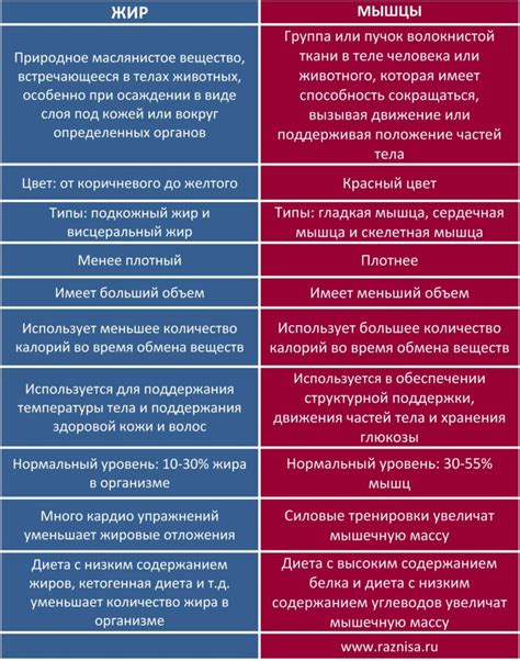 Разница между практичностью и прагматичностью