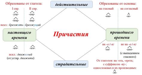 Разновидности причастий и их функции в речи