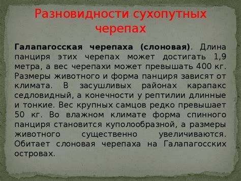 Разновидности сна плавсредств на сухопутных просторах: временная и постоянная метаморфоза