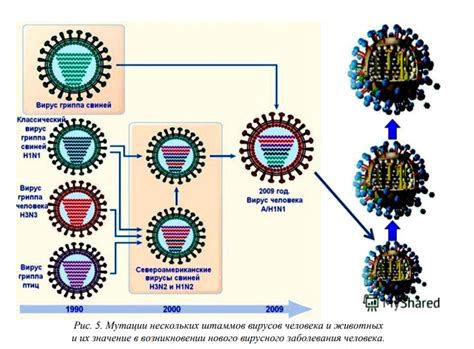 Разнообразие вирусов и мутаций
