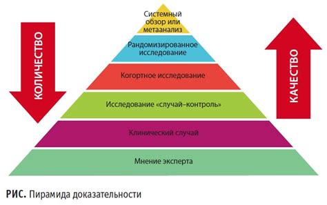 Разнообразие дизайнов гусарской погони