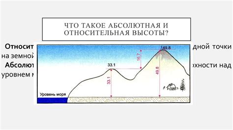 Разнообразие форм и высоты