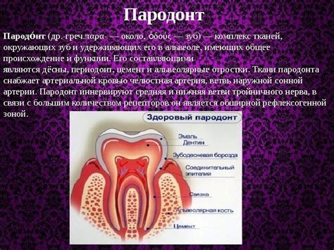 Разнообразные значения символа передачи образа густых шевелюр во жевательный аппарат внутреннего пространства