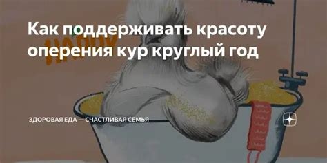 Разнообразные символические значения снов о курочках для мужчины