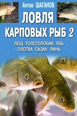 Разнообразные толкования снов, связанных с употреблением рыбы без приборов