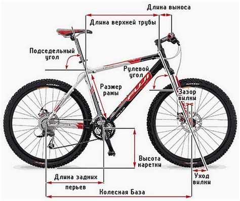 Рама и геометрия трейлового велосипеда