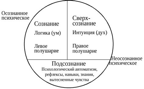 Рама человека: сущность, значения и характеристики