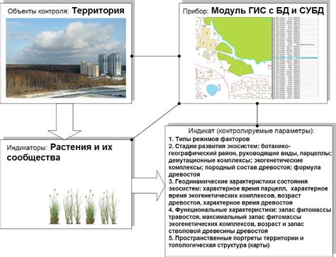 Распознавание территории и отметки