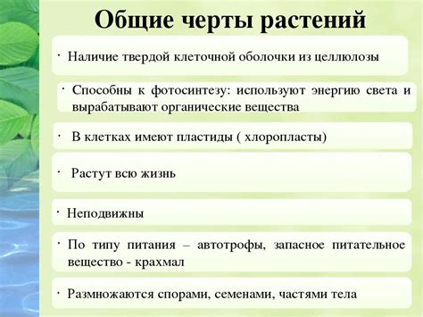 Распространение и значение мелкопалочковой флоры