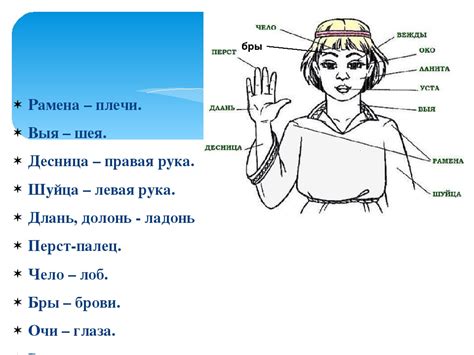 Распространение и использование слова "mood" в современной речи