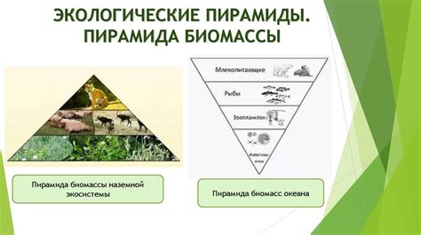 Распространение и угроза для экосистемы