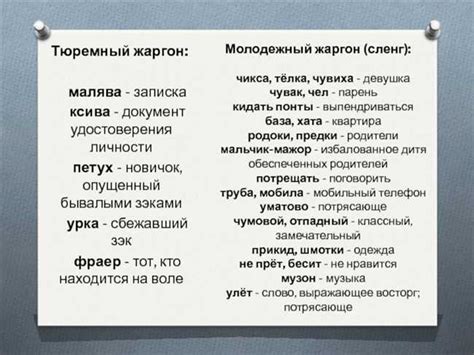 Распространение и употребление термина "не бржи"