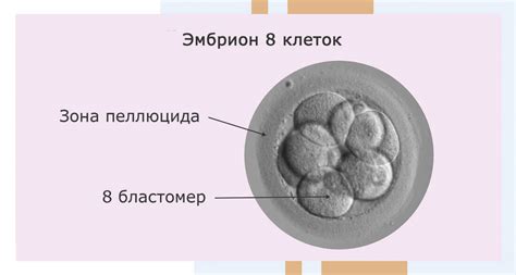 Распространение некачественных эмбрионов