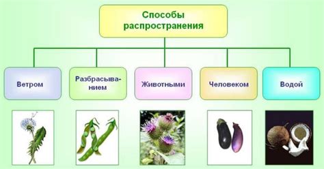 Распространение растений и животных в период весенней распутицы