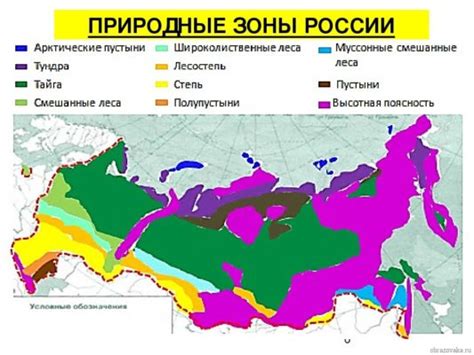 Распространение фамилии Сапаров по России и миру