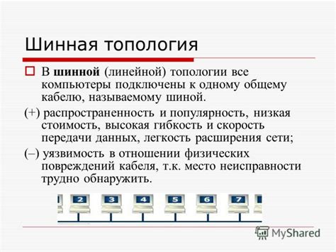 Распространенность и популярность "шуртвац хай" в сети