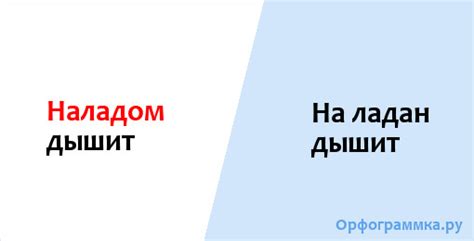 Рассмотрение понятия "наладом дышит"