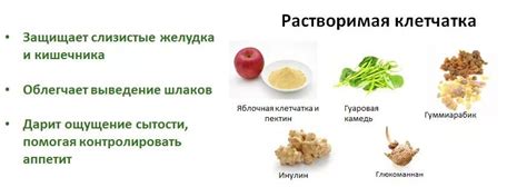 Растворимая клетчатка: определение и свойства