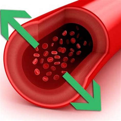 Расширение сосудов: избавление от стагнации