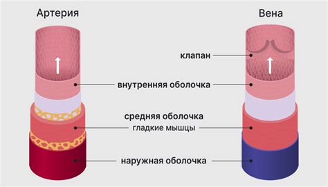 Расширенные сосуды и кровоизлияние