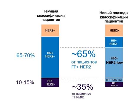 Расшифровка и значение HER2-отрицательного статуса при РМЖ