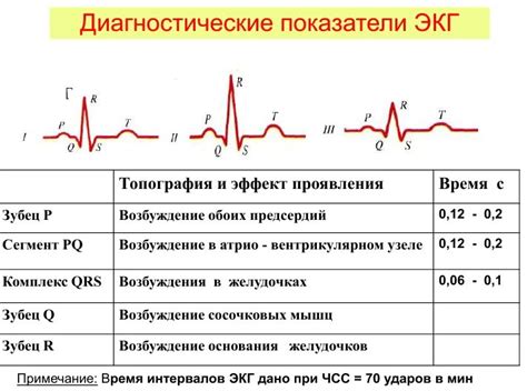 Расшифровка каждого зубца в ЭКГ: детальное объяснение