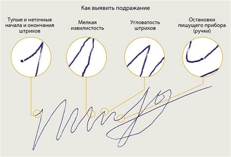 Расшифровка подписи: значимость полной расшифровки