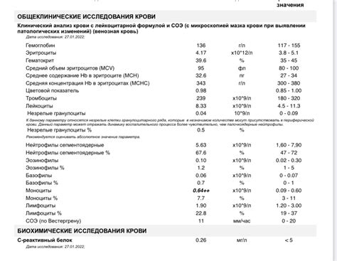 Расшифровка результатов анализа