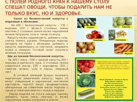 Расшифровка снов о свежей капусте: что говорят сновидения о зеленых овощах?