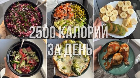 Рацион и тренировки