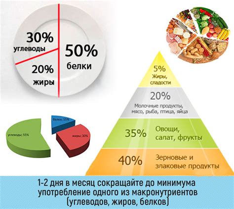 Рацион питания и метаболизм