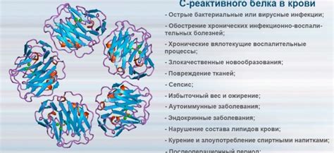 Реактивный плазмоцитоз: что это такое?